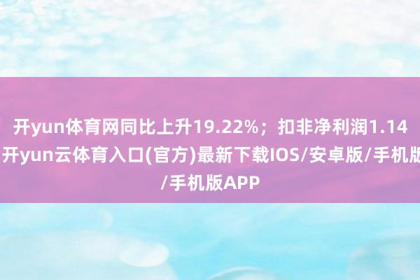 开yun体育网同比上升19.22%；扣非净利润1.14亿元-开yun云体育入口(官方)最新下载IOS/安卓版/手机版APP