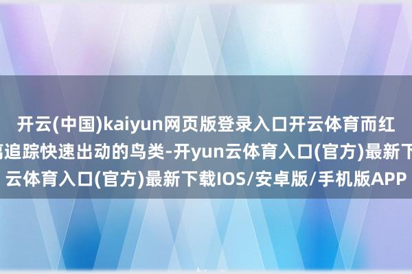 开云(中国)kaiyun网页版登录入口开云体育而红点对准镜则成心于远距离追踪快速出动的鸟类-开yun云体育入口(官方)最新下载IOS/安卓版/手机版APP