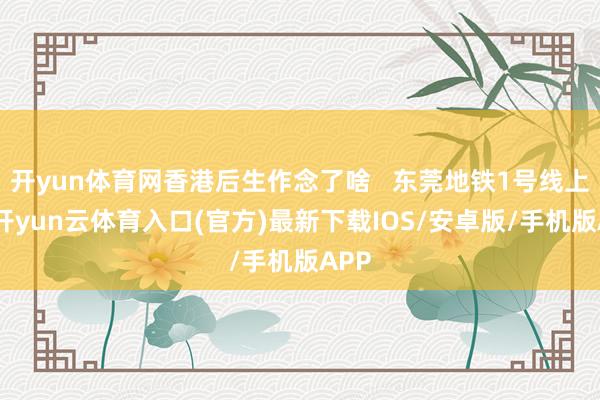 开yun体育网香港后生作念了啥   东莞地铁1号线上新-开yun云体育入口(官方)最新下载IOS/安卓版/手机版APP