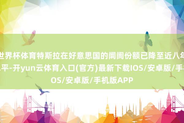 世界杯体育特斯拉在好意思国的阛阓份额已降至近八年未见的水平-开yun云体育入口(官方)最新下载IOS/安卓版/手机版APP