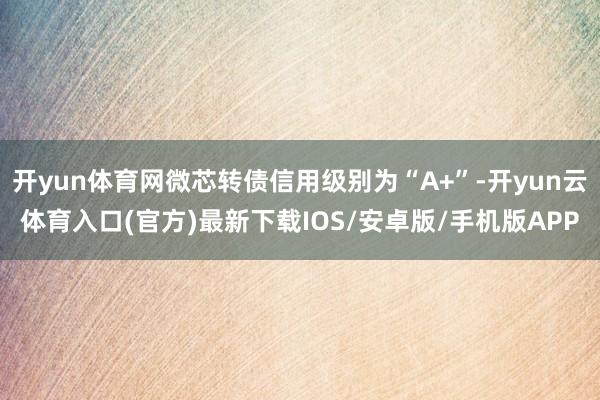 开yun体育网微芯转债信用级别为“A+”-开yun云体育入口(官方)最新下载IOS/安卓版/手机版APP