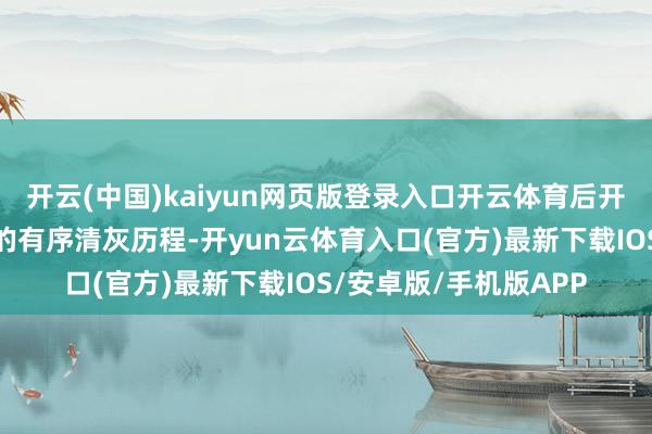 开云(中国)kaiyun网页版登录入口开云体育后开启吹扫介质进行吹扫的有序清灰历程-开yun云体育入口(官方)最新下载IOS/安卓版/手机版APP